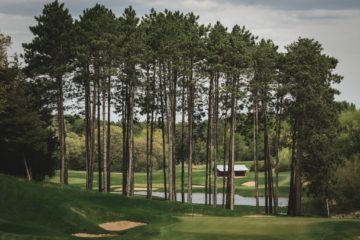 Golf hole with towering pines